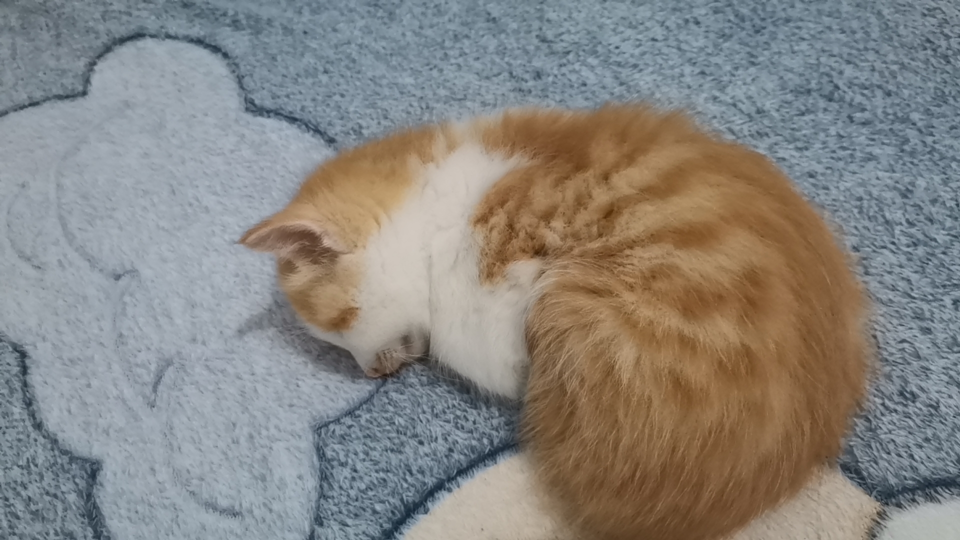 Wx camera 1711931557333