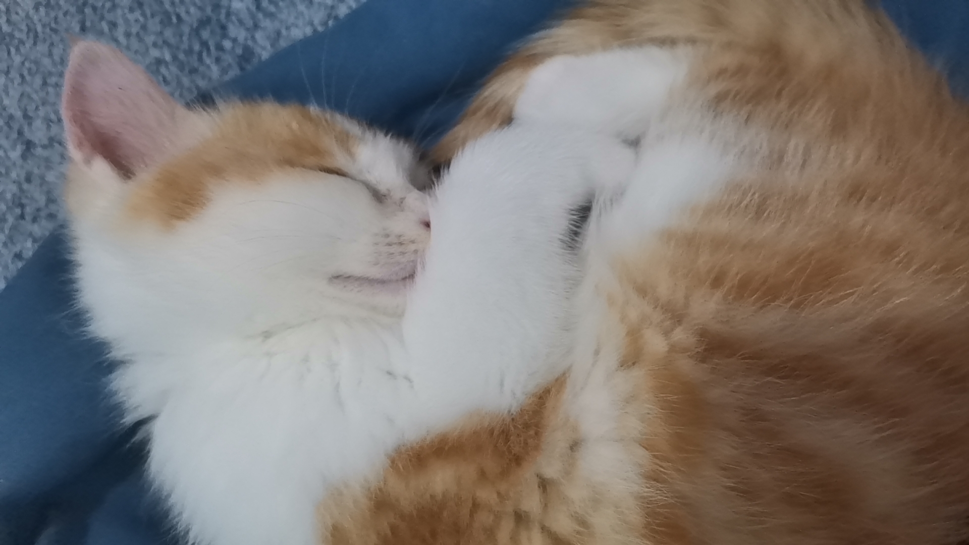 Wx camera 1713150504123