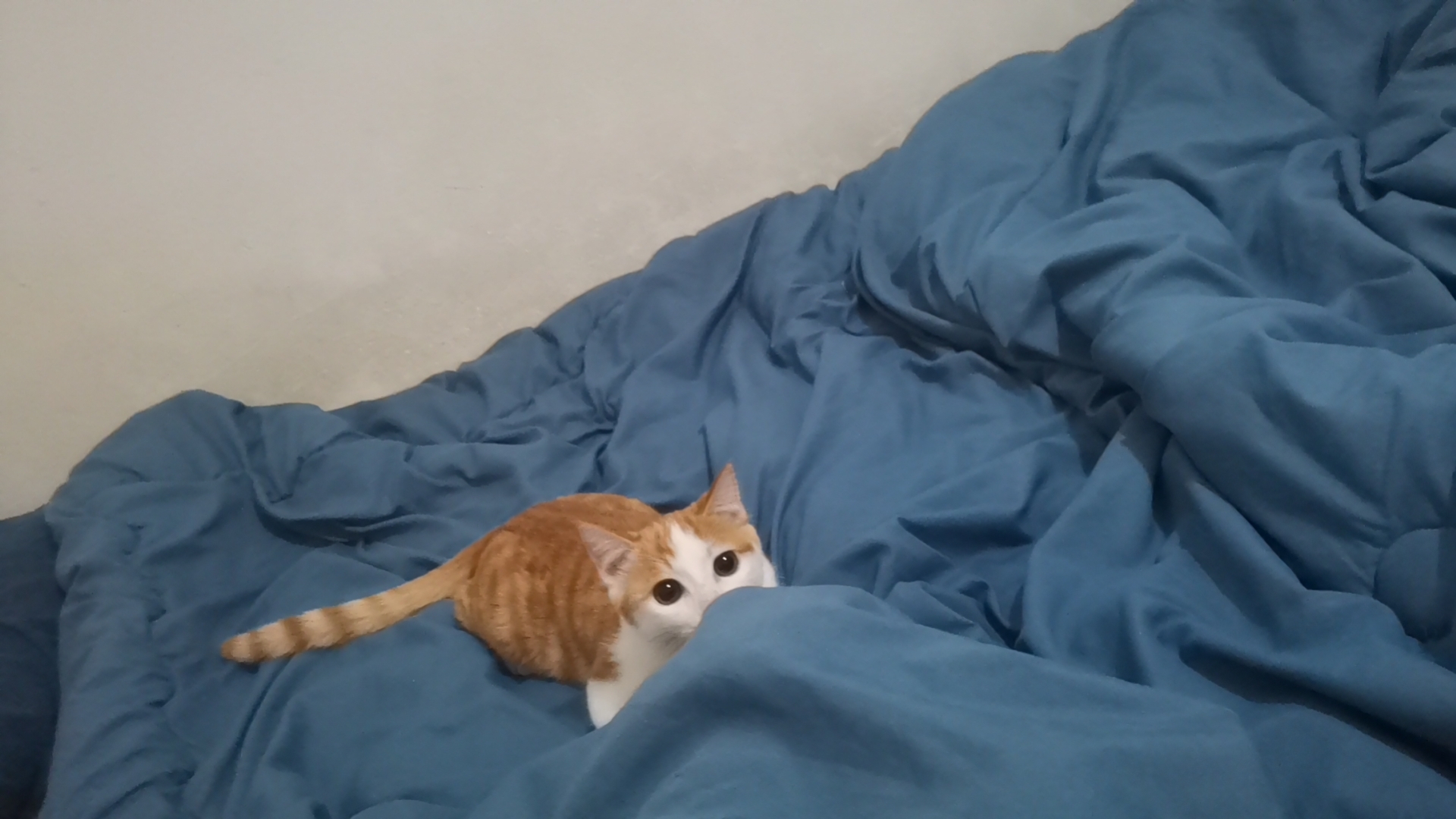 Wx camera 1724156111633