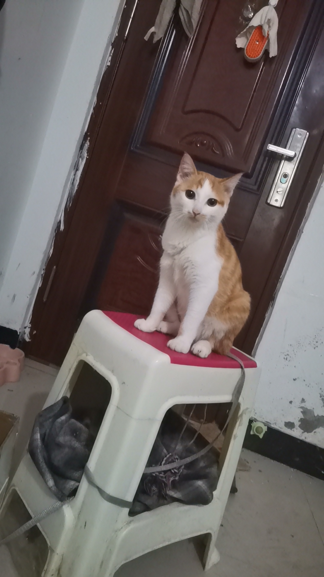 Wx camera 1728025068178